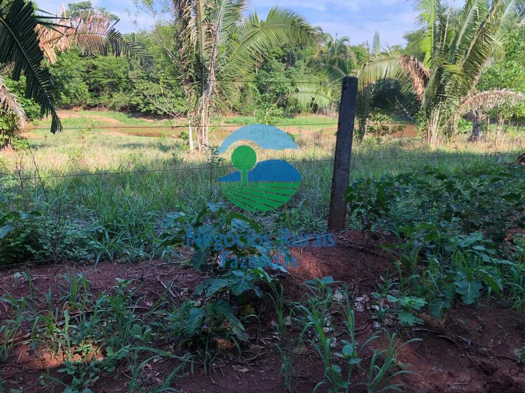 Fazenda à venda e para Arrendar de 1.258 ha em Palmeirópolis, TO, Brasil