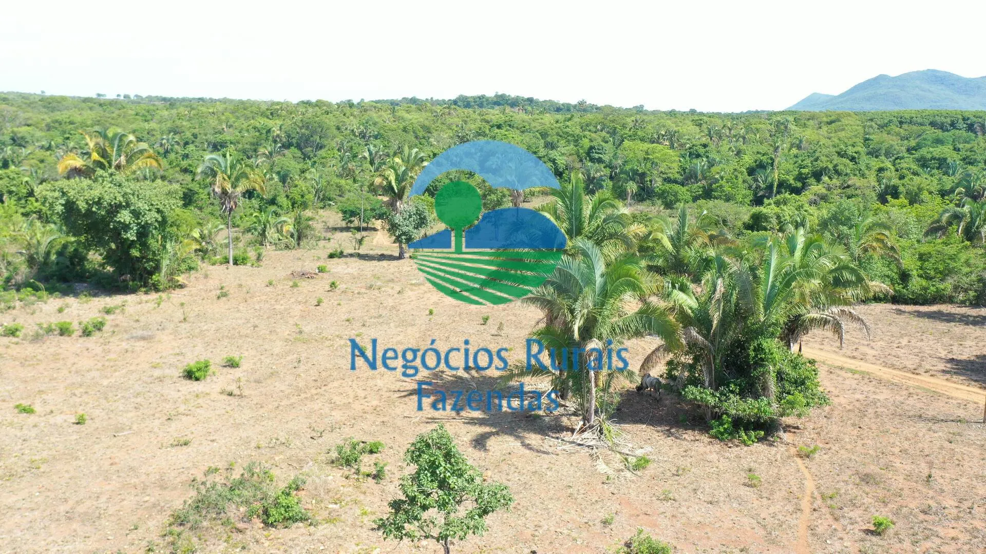 Fazenda à venda e para Arrendar de 1.258 ha em Palmeirópolis, TO, Brasil