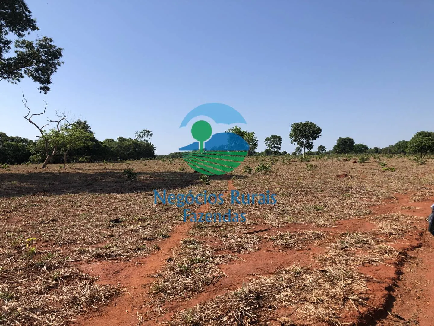 Fazenda à venda e para Arrendar de 1.258 ha em Palmeirópolis, TO, Brasil
