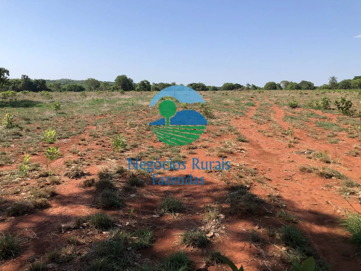 Fazenda à venda e para Arrendar de 1.258 ha em Palmeirópolis, TO, Brasil