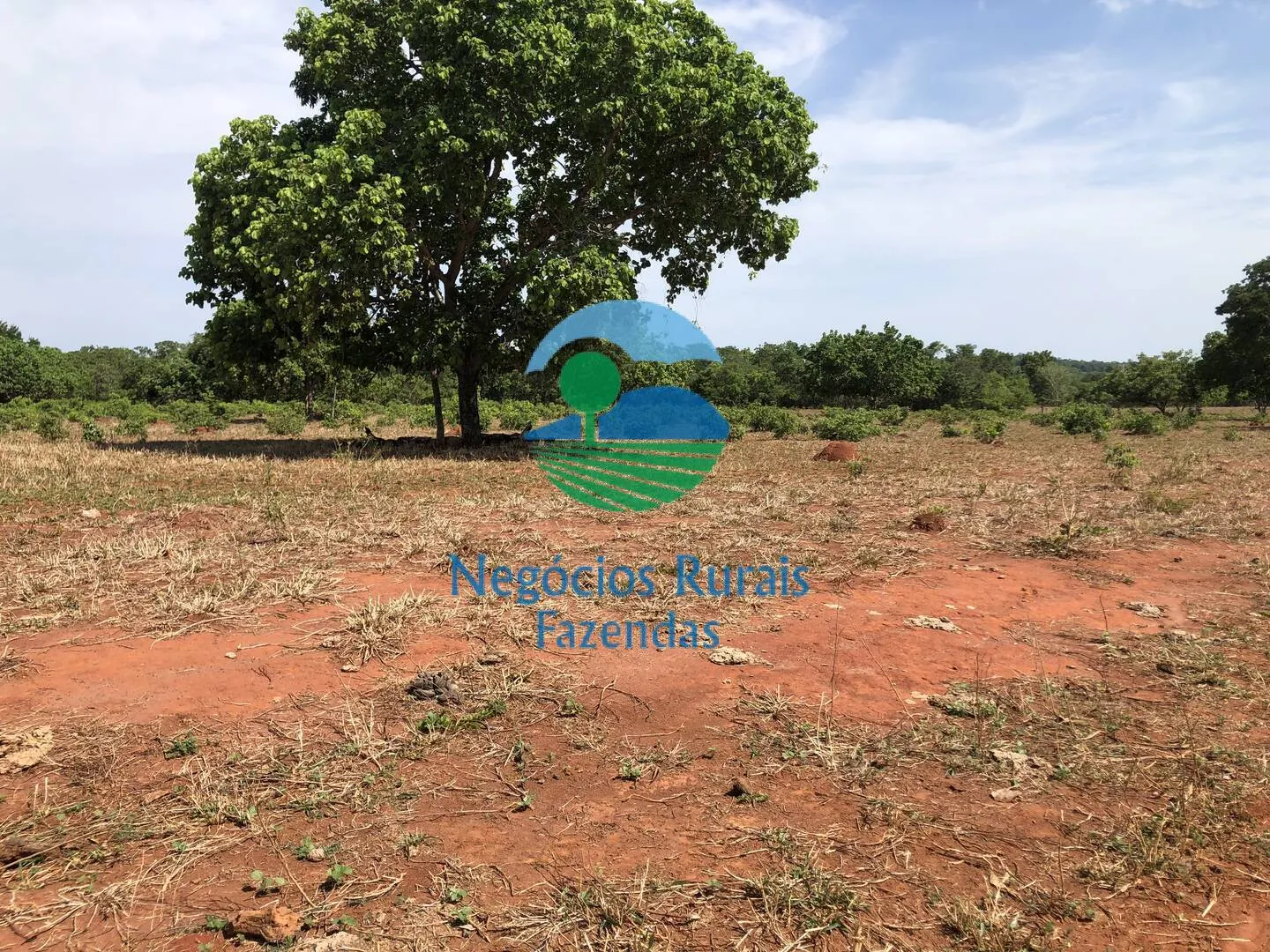Fazenda à venda e para Arrendar de 1.258 ha em Palmeirópolis, TO, Brasil