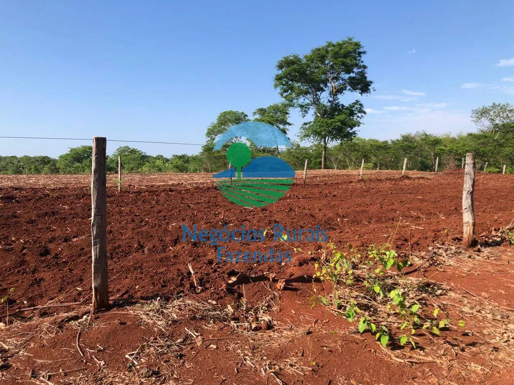 Fazenda à venda e para Arrendar de 1.258 ha em Palmeirópolis, TO, Brasil