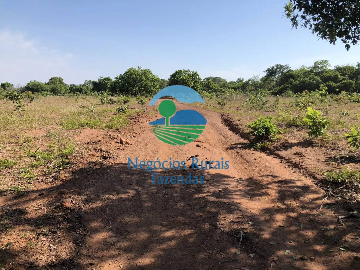 Fazenda à venda e para Arrendar de 1.258 ha em Palmeirópolis, TO, Brasil