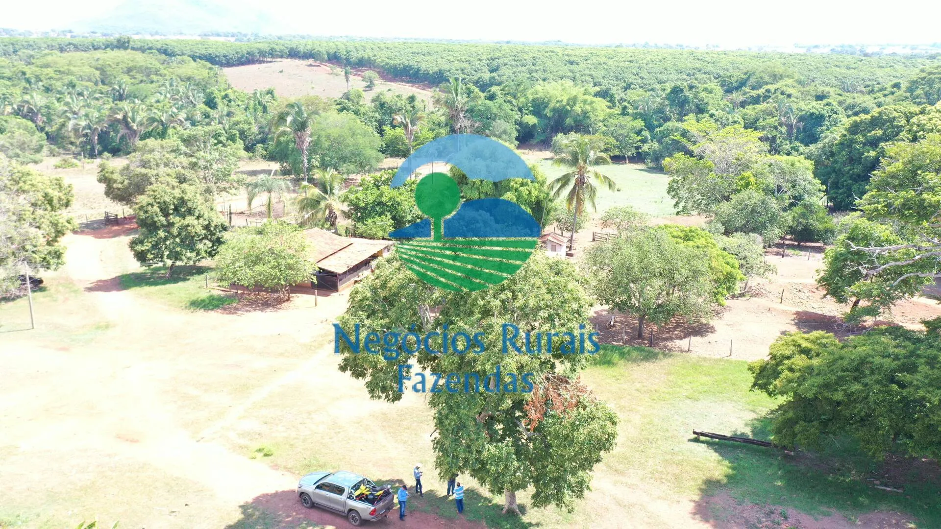 Fazenda à venda e para Arrendar de 1.258 ha em Palmeirópolis, TO, Brasil
