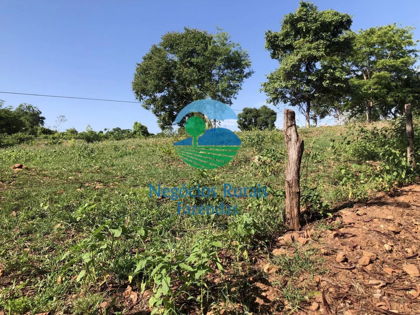 Fazenda à venda e para Arrendar de 1.258 ha em Palmeirópolis, TO, Brasil