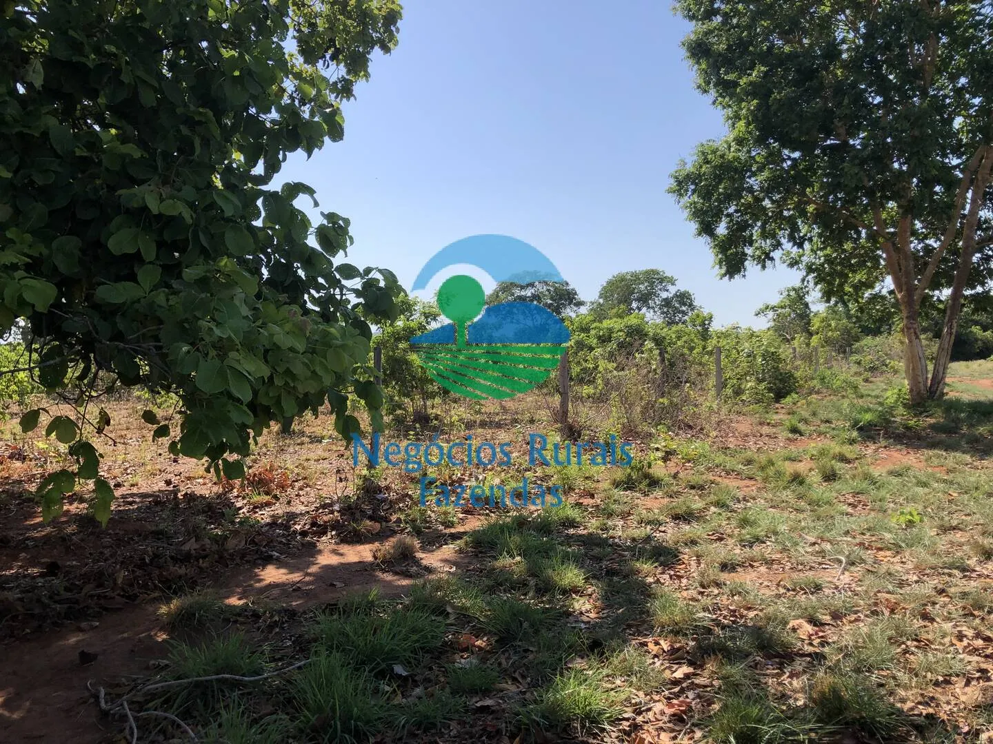 Fazenda à venda e para Arrendar de 1.258 ha em Palmeirópolis, TO, Brasil
