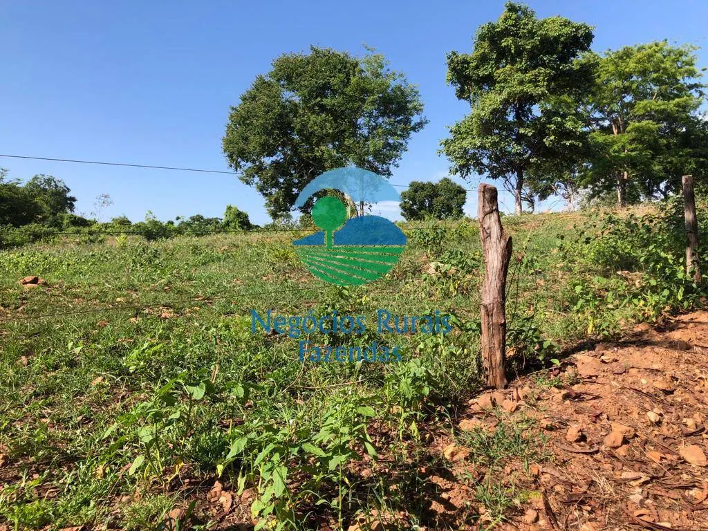 Fazenda à venda e para Arrendar de 1.258 ha em Palmeirópolis, TO, Brasil