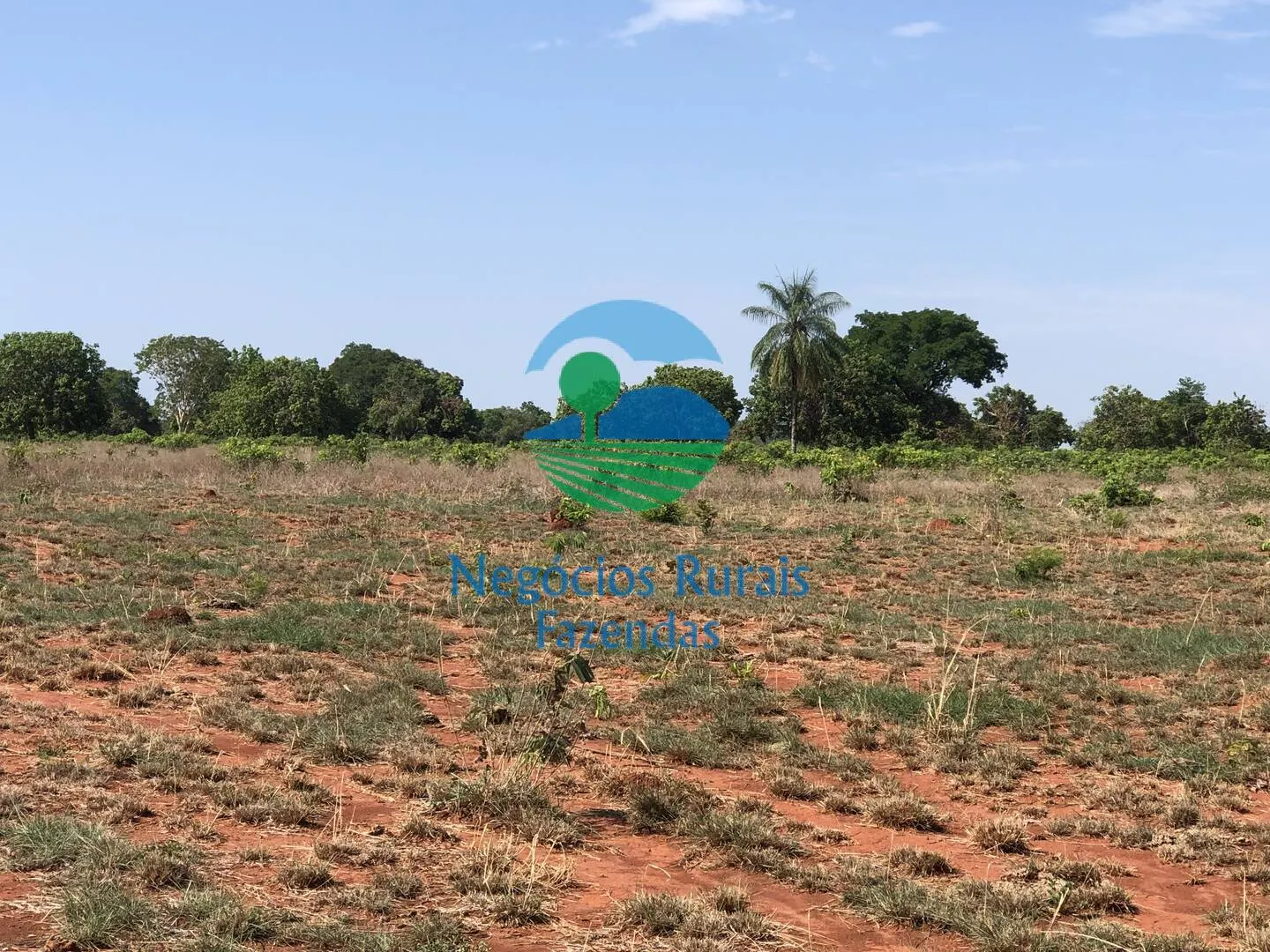 Fazenda à venda e para Arrendar de 1.258 ha em Palmeirópolis, TO, Brasil
