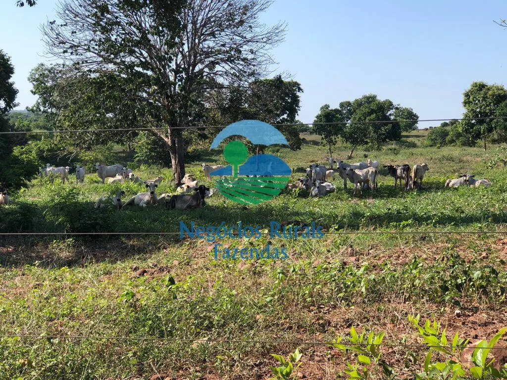 Fazenda à venda e para Arrendar de 1.258 ha em Palmeirópolis, TO, Brasil