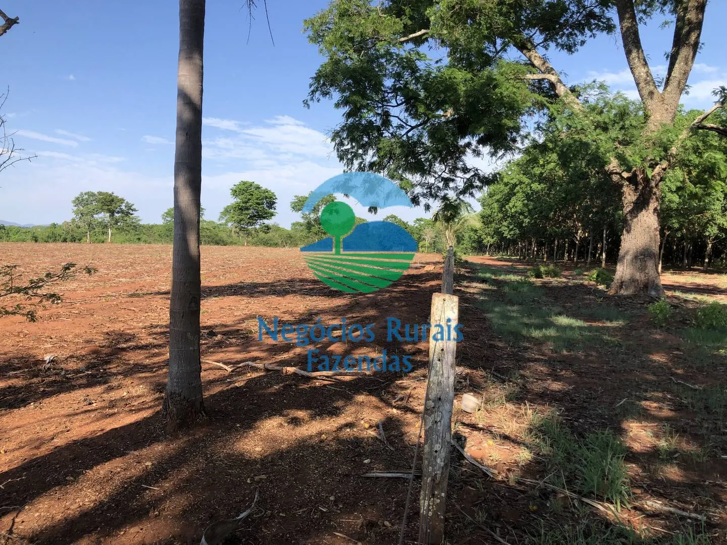 Fazenda à venda e para Arrendar de 1.258 ha em Palmeirópolis, TO, Brasil