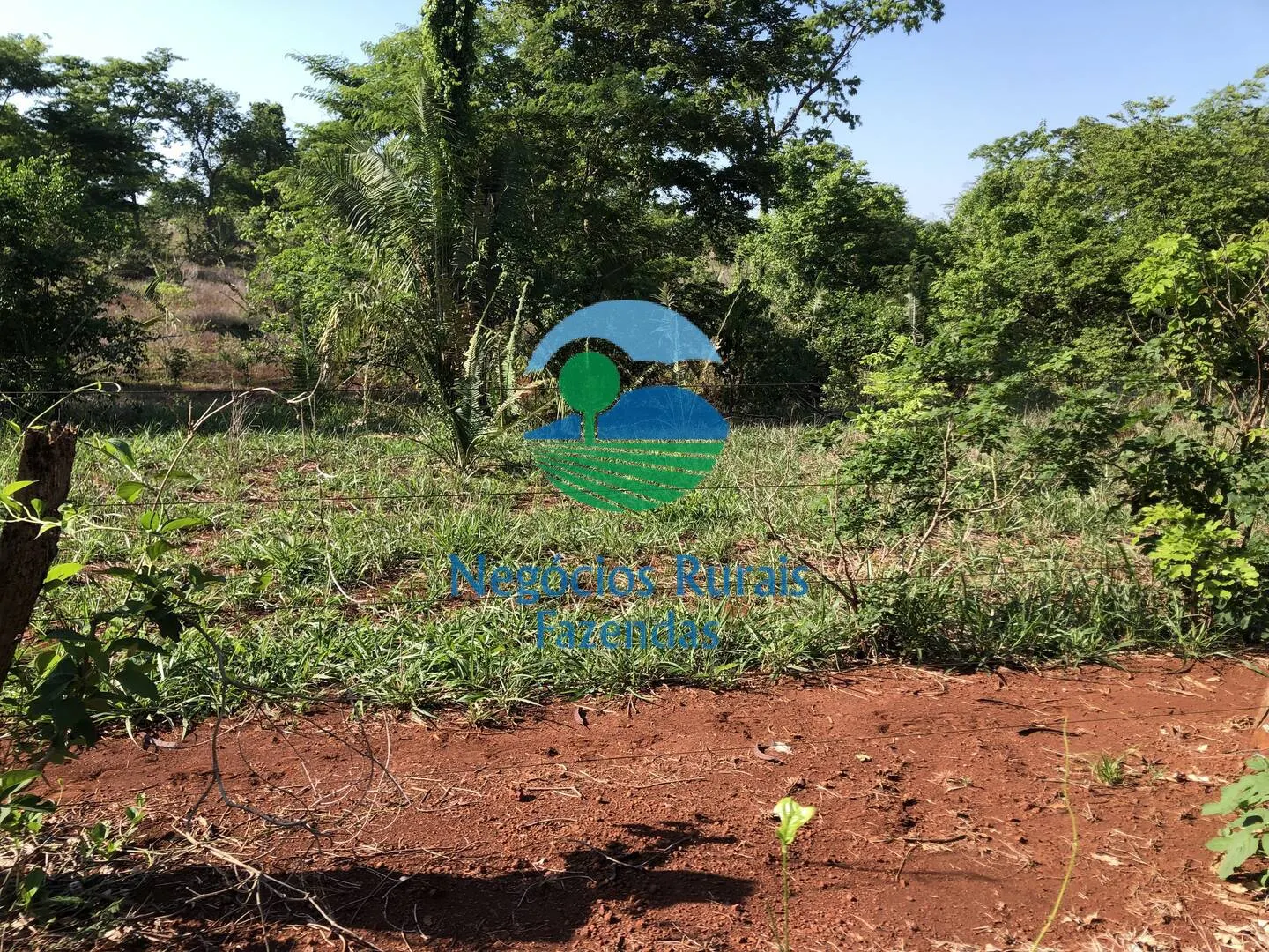 Fazenda à venda e para Arrendar de 1.258 ha em Palmeirópolis, TO, Brasil
