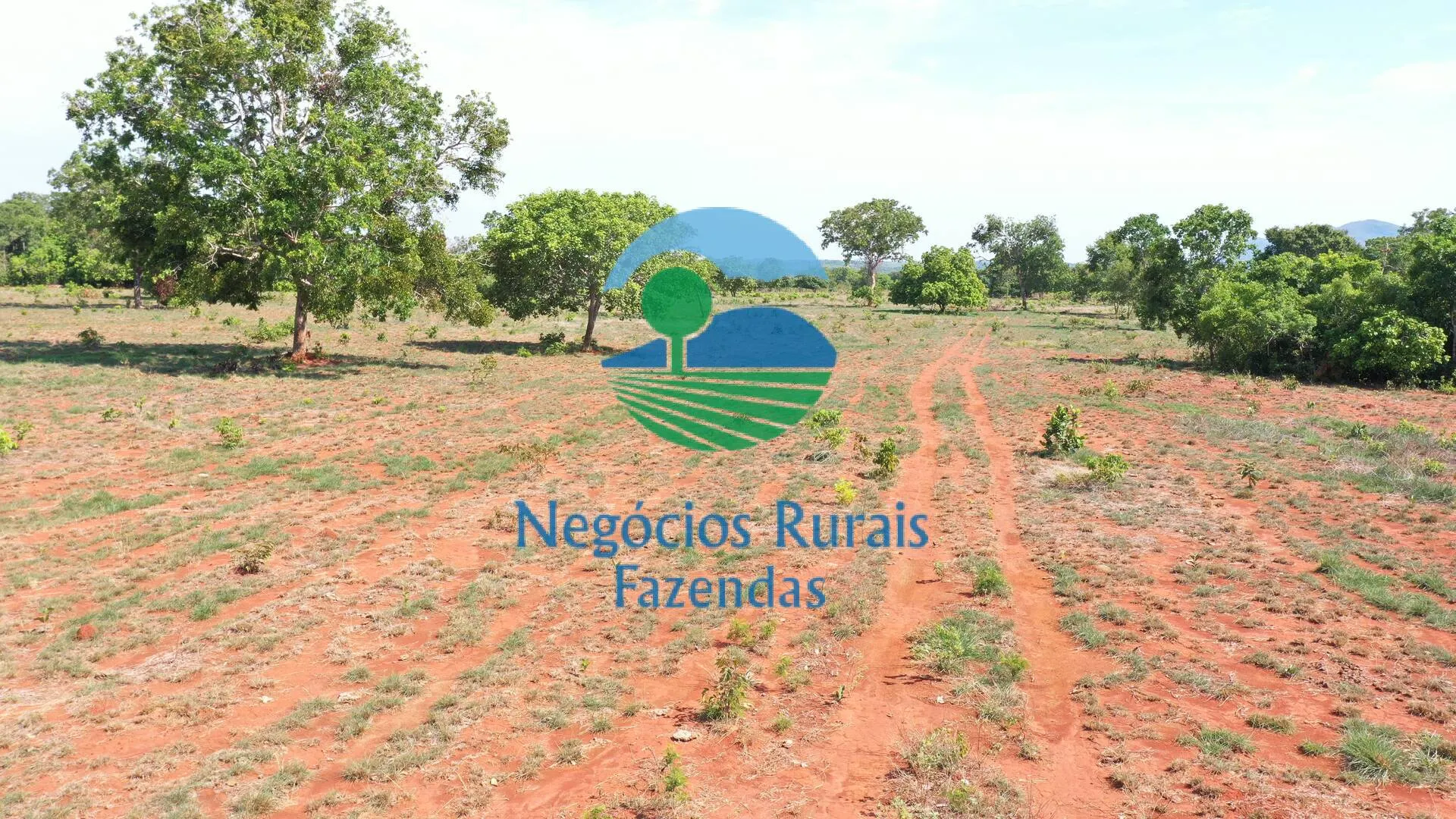 Fazenda à venda e para Arrendar de 1.258 ha em Palmeirópolis, TO, Brasil