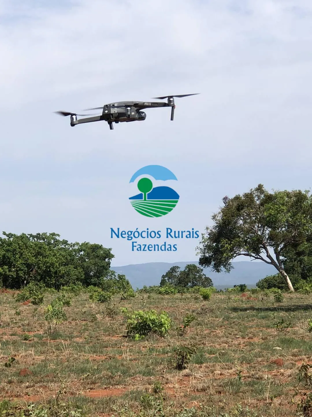 Fazenda à venda e para Arrendar de 1.258 ha em Palmeirópolis, TO, Brasil