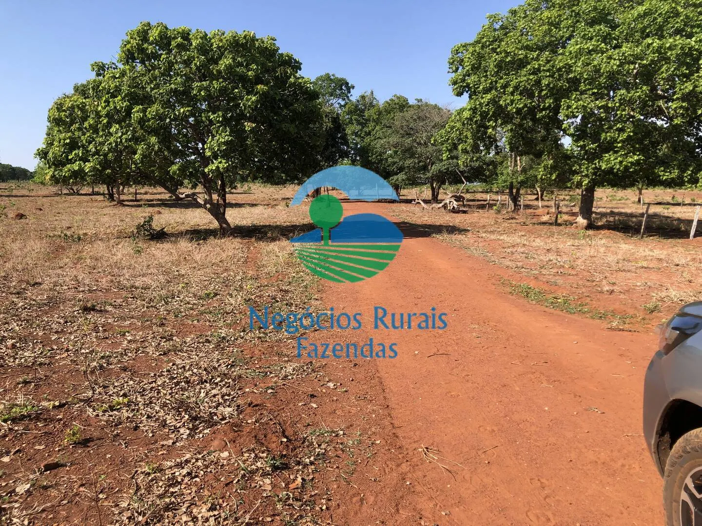 Fazenda à venda e para Arrendar de 1.258 ha em Palmeirópolis, TO, Brasil