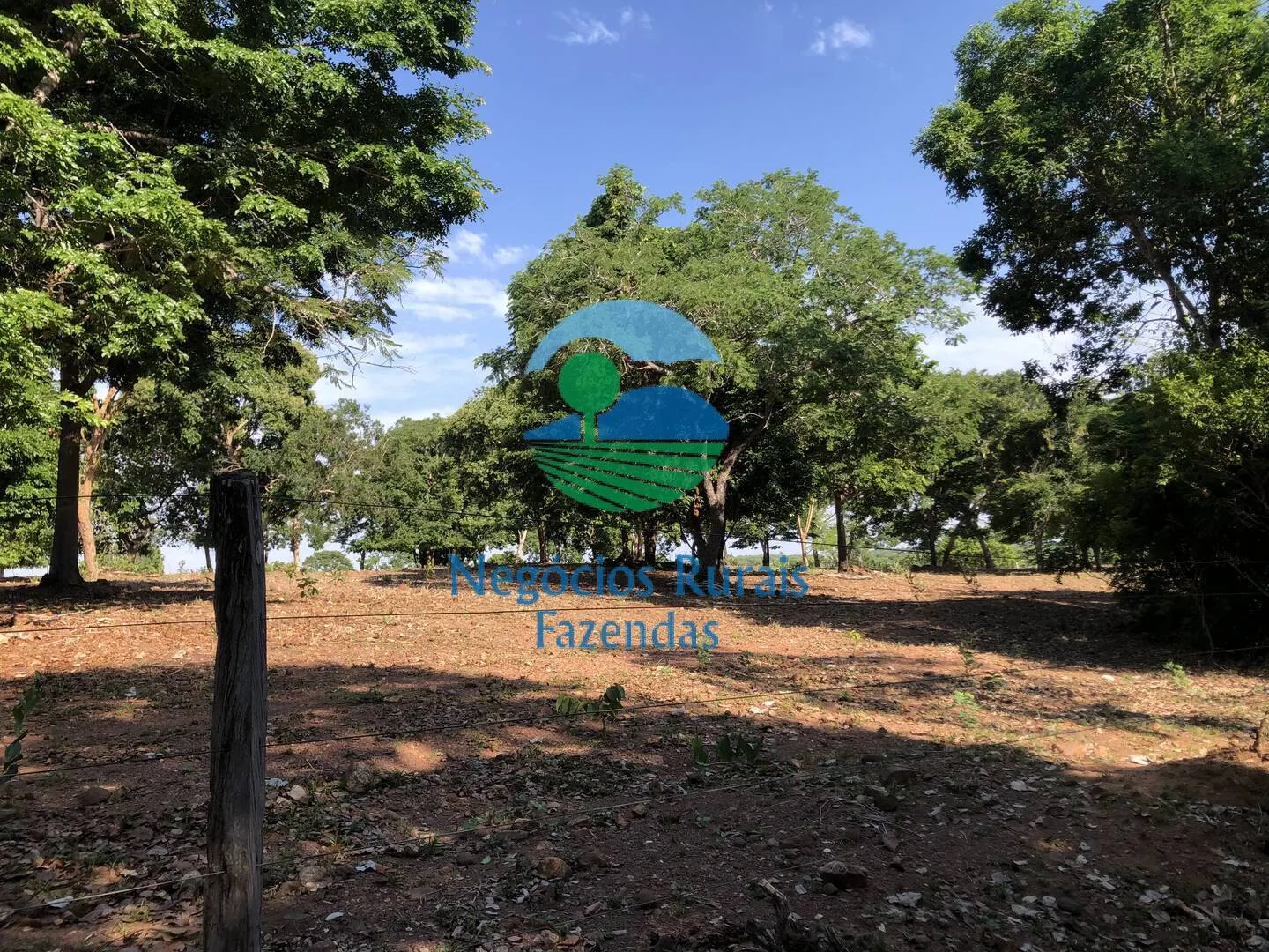 Fazenda à venda e para Arrendar de 1.258 ha em Palmeirópolis, TO, Brasil