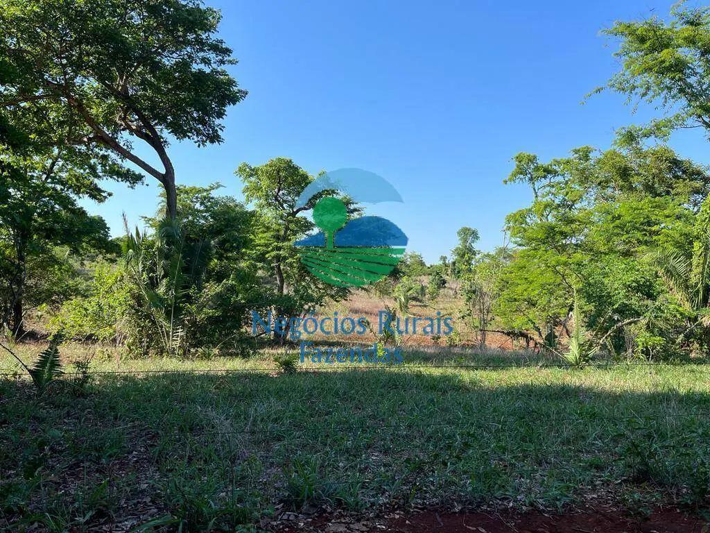 Fazenda à venda e para Arrendar de 1.258 ha em Palmeirópolis, TO, Brasil