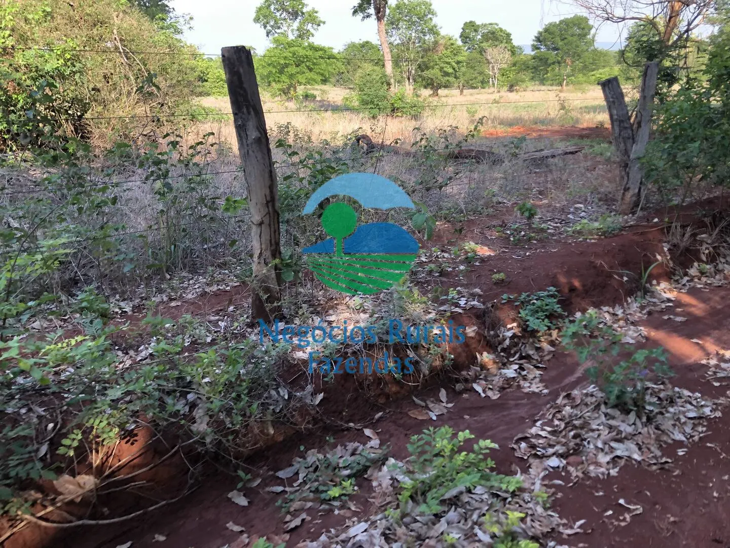 Fazenda à venda e para Arrendar de 1.258 ha em Palmeirópolis, TO, Brasil
