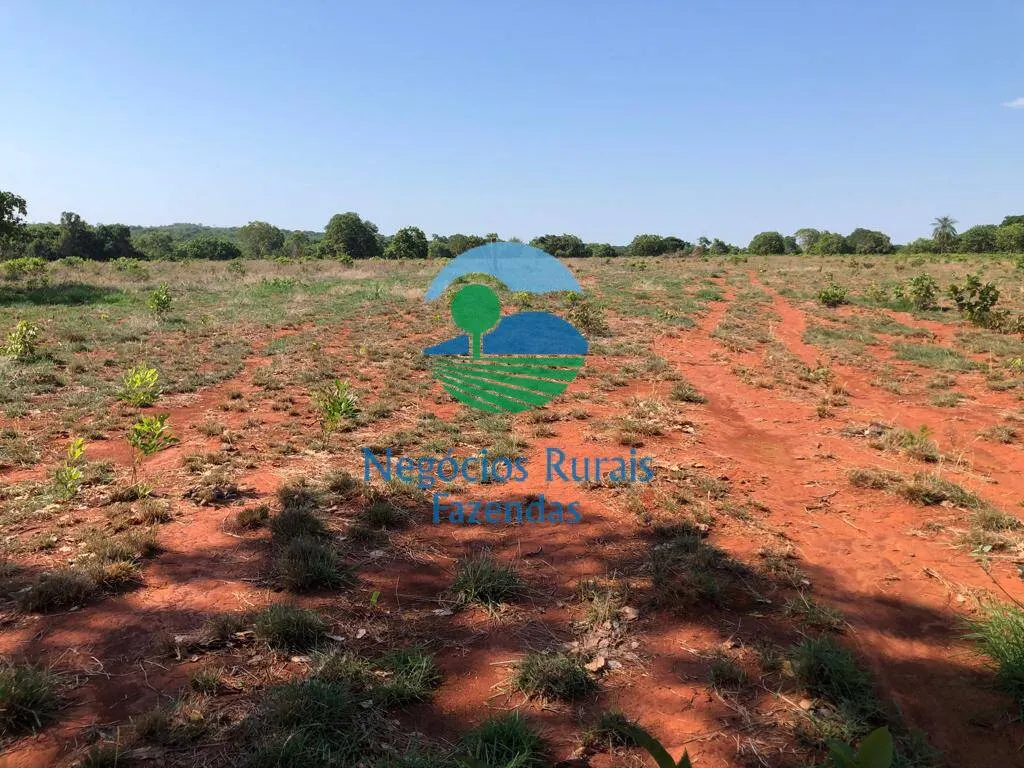 Fazenda à venda e para Arrendar de 1.258 ha em Palmeirópolis, TO, Brasil