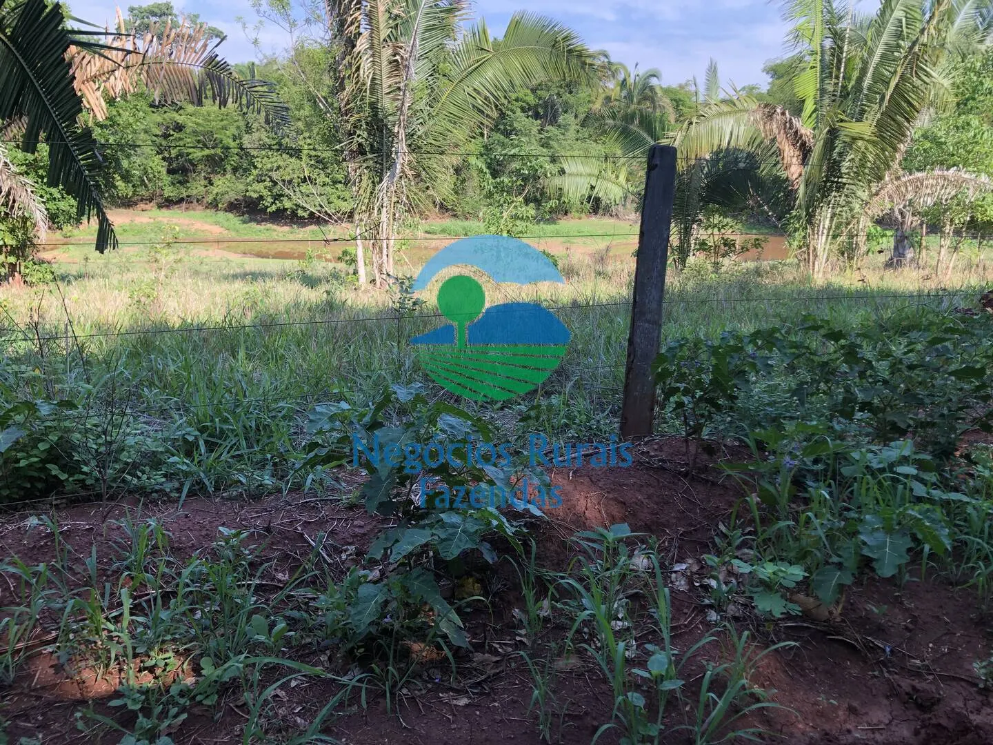 Fazenda à venda e para Arrendar de 1.258 ha em Palmeirópolis, TO, Brasil