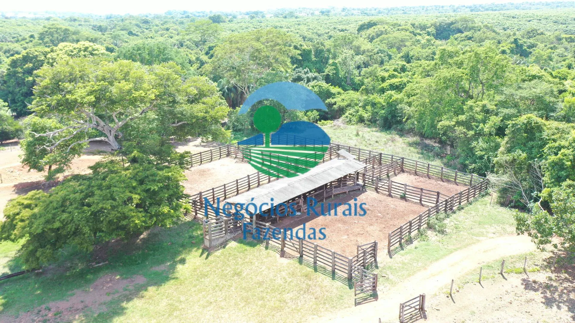 Fazenda à venda e para Arrendar de 1.258 ha em Palmeirópolis, TO, Brasil