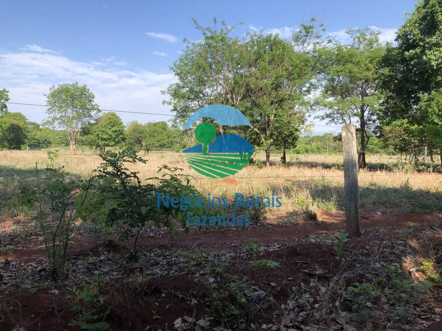 Fazenda à venda e para Arrendar de 1.258 ha em Palmeirópolis, TO, Brasil