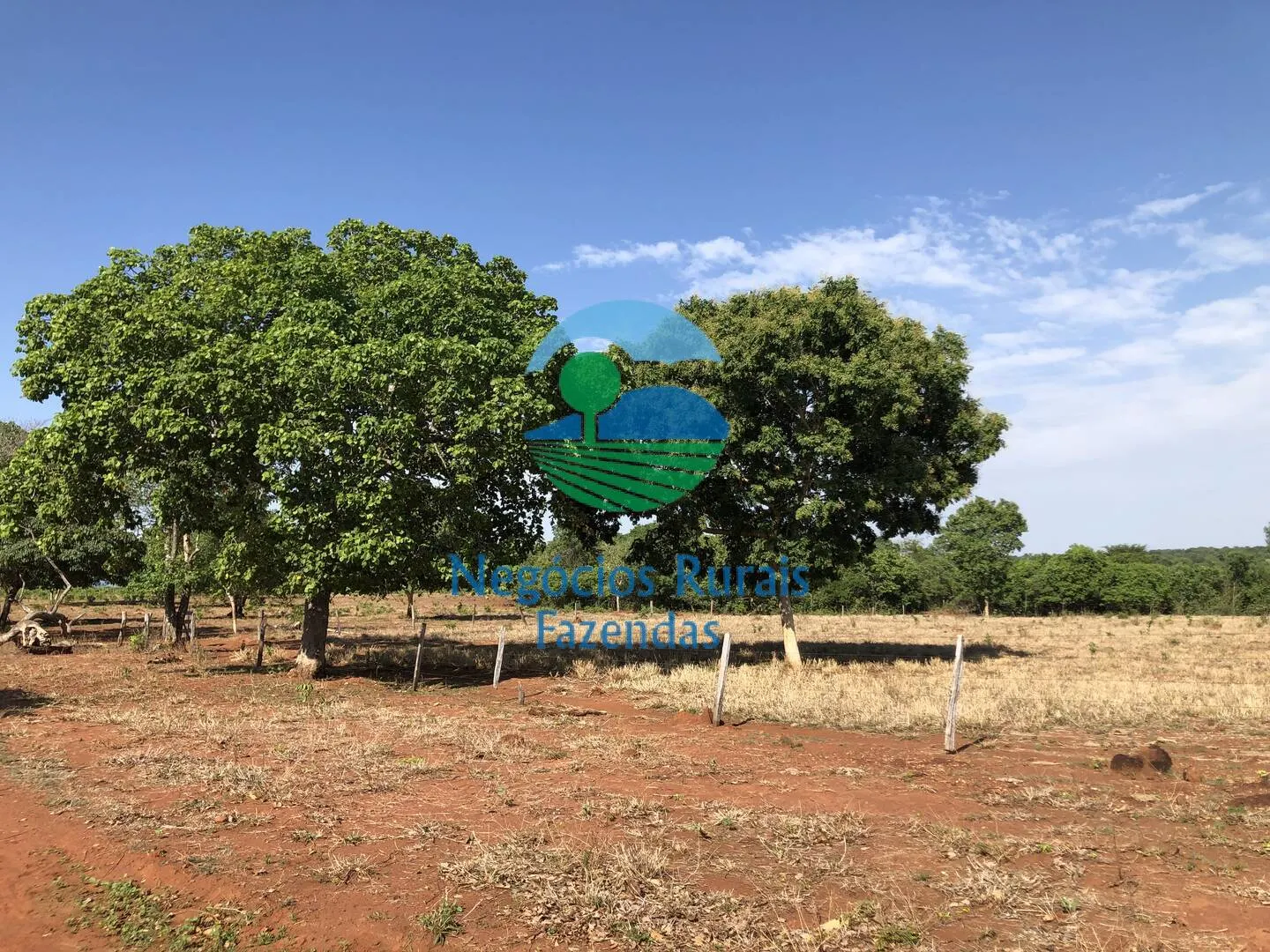 Fazenda à venda e para Arrendar de 1.258 ha em Palmeirópolis, TO, Brasil