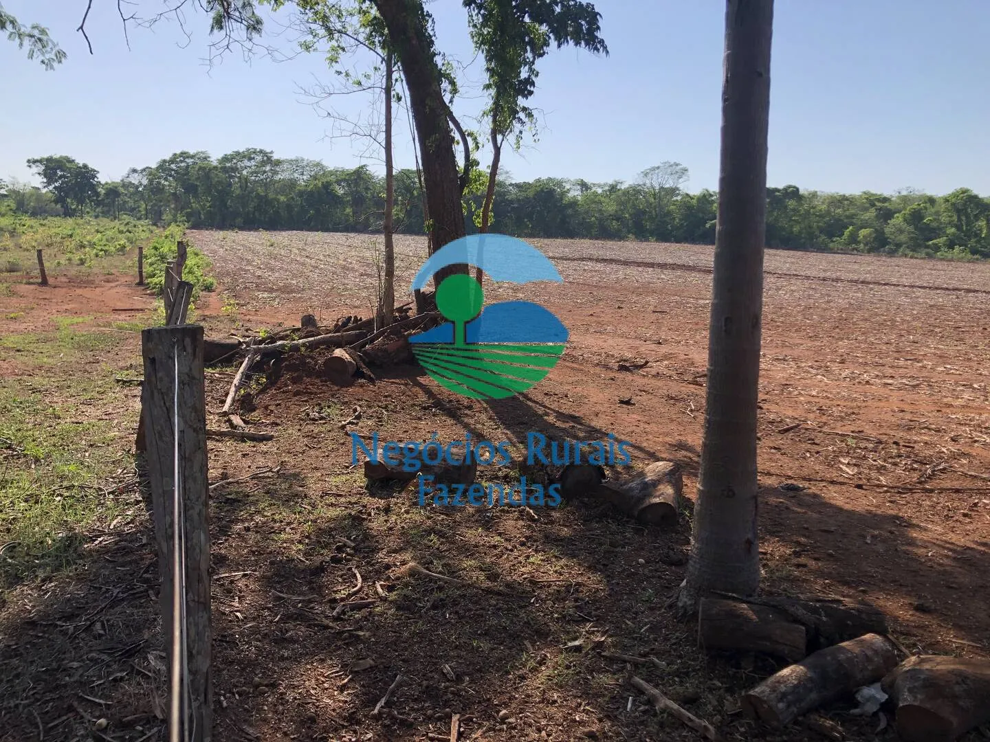 Fazenda à venda e para Arrendar de 1.258 ha em Palmeirópolis, TO, Brasil