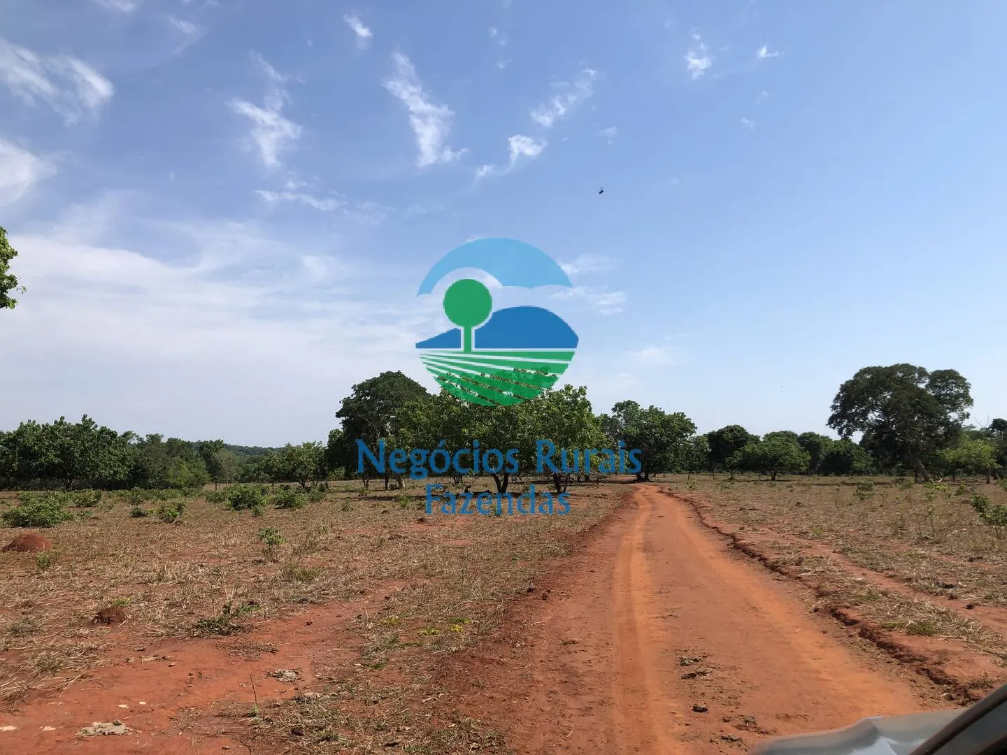 Fazenda à venda e para Arrendar de 1.258 ha em Palmeirópolis, TO, Brasil