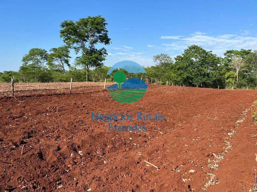 Fazenda à venda e para Arrendar de 1.258 ha em Palmeirópolis, TO, Brasil