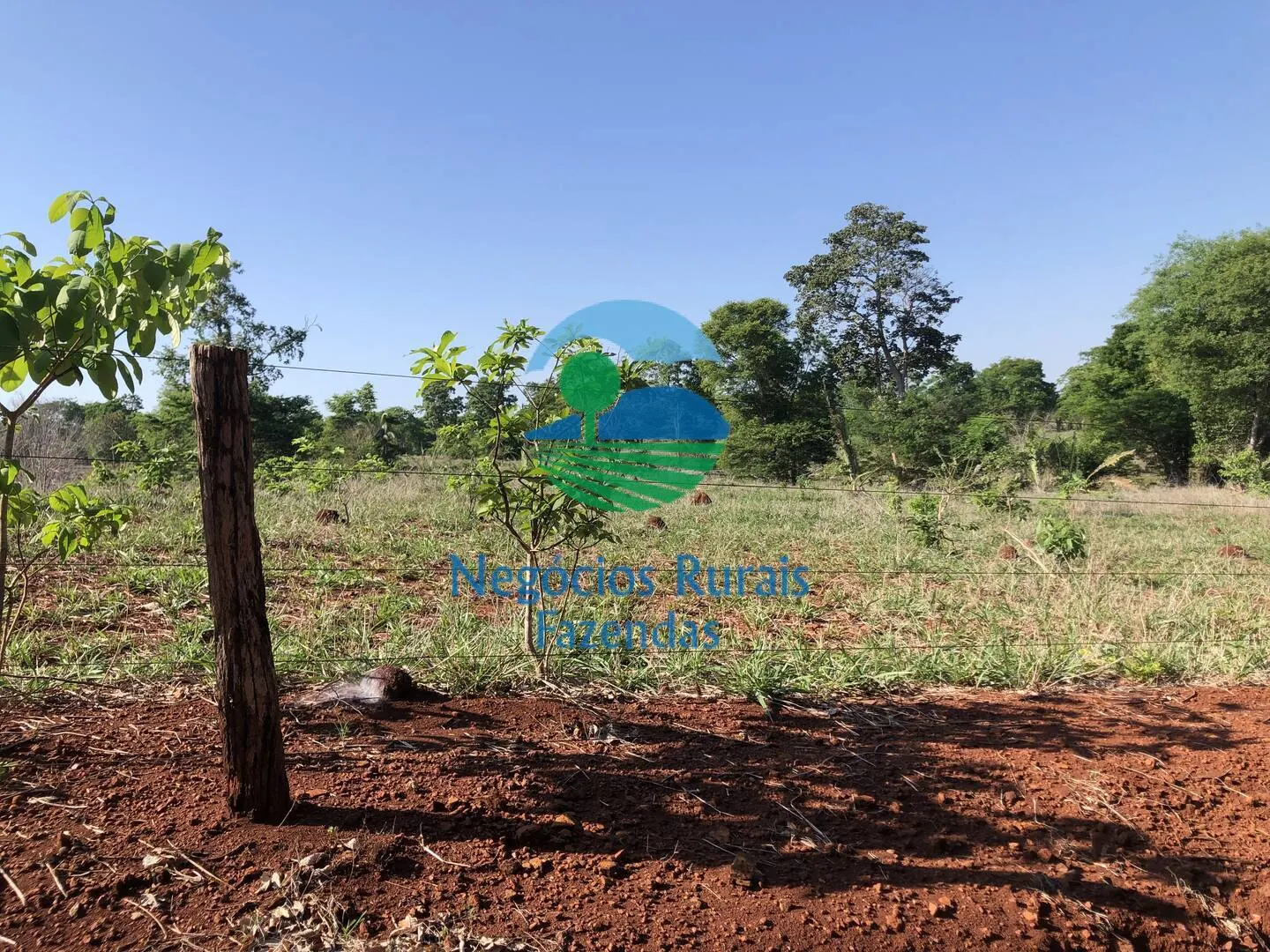 Fazenda à venda e para Arrendar de 1.258 ha em Palmeirópolis, TO, Brasil