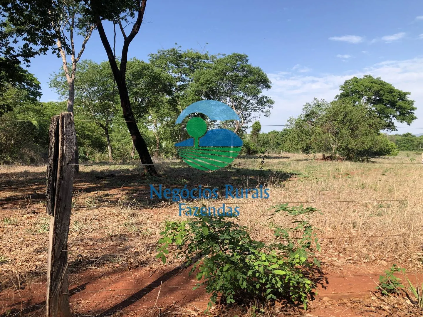 Fazenda à venda e para Arrendar de 1.258 ha em Palmeirópolis, TO, Brasil