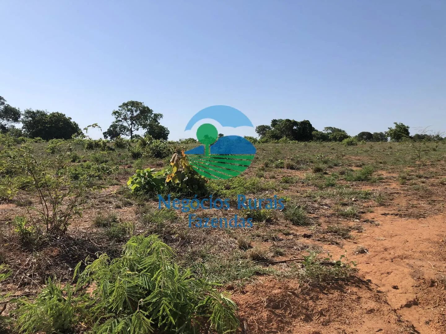 Fazenda à venda e para Arrendar de 1.258 ha em Palmeirópolis, TO, Brasil
