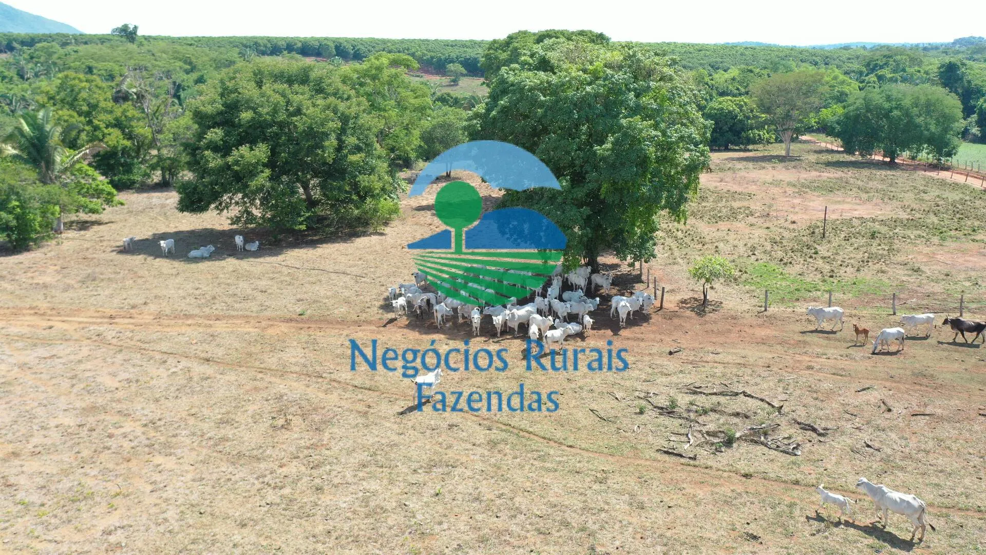 Fazenda à venda e para Arrendar de 1.258 ha em Palmeirópolis, TO, Brasil