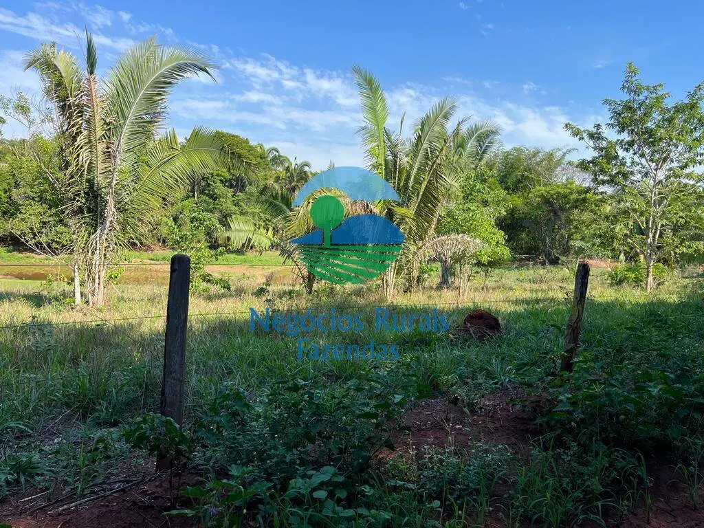 Fazenda à venda e para Arrendar de 1.258 ha em Palmeirópolis, TO, Brasil