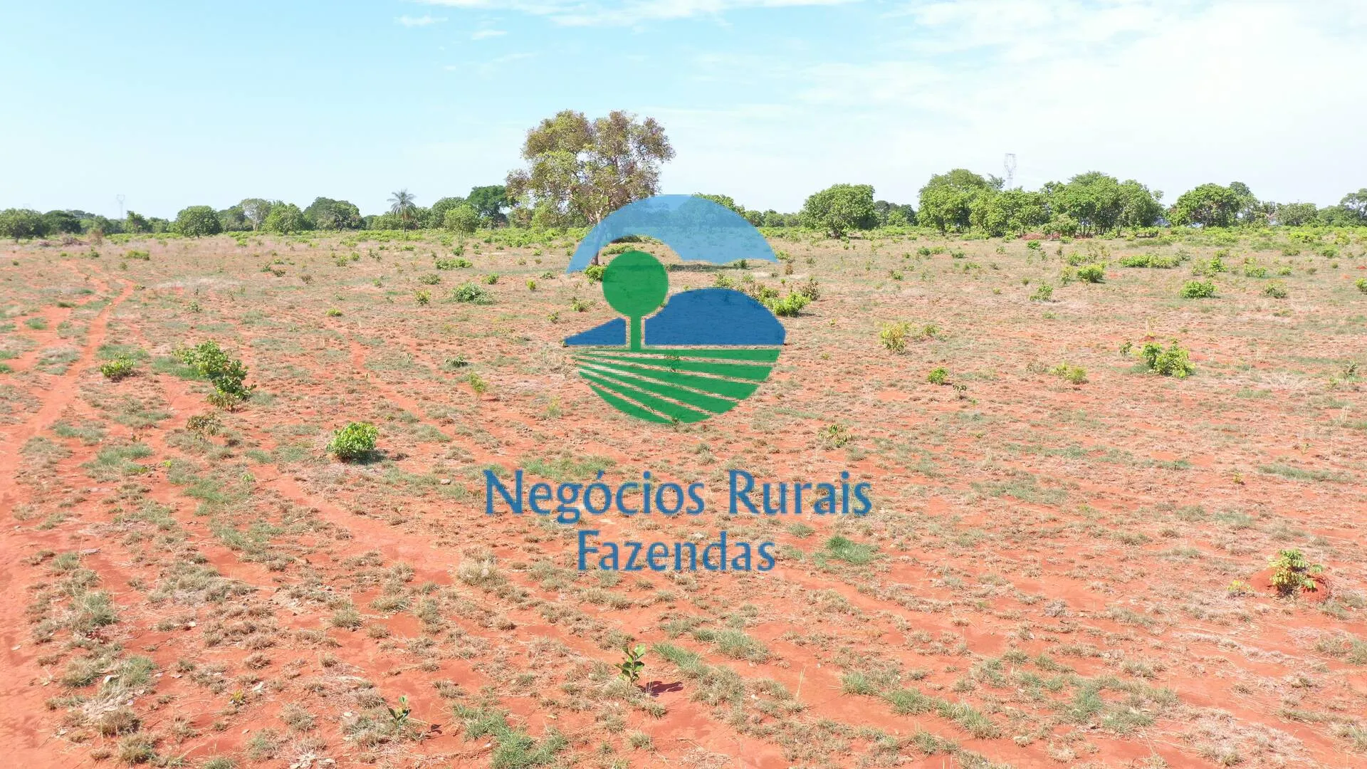 Fazenda à venda e para Arrendar de 1.258 ha em Palmeirópolis, TO, Brasil