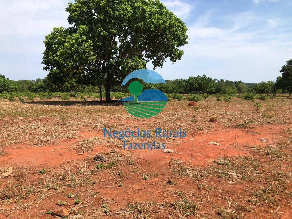 Fazenda à venda e para Arrendar de 1.258 ha em Palmeirópolis, TO, Brasil