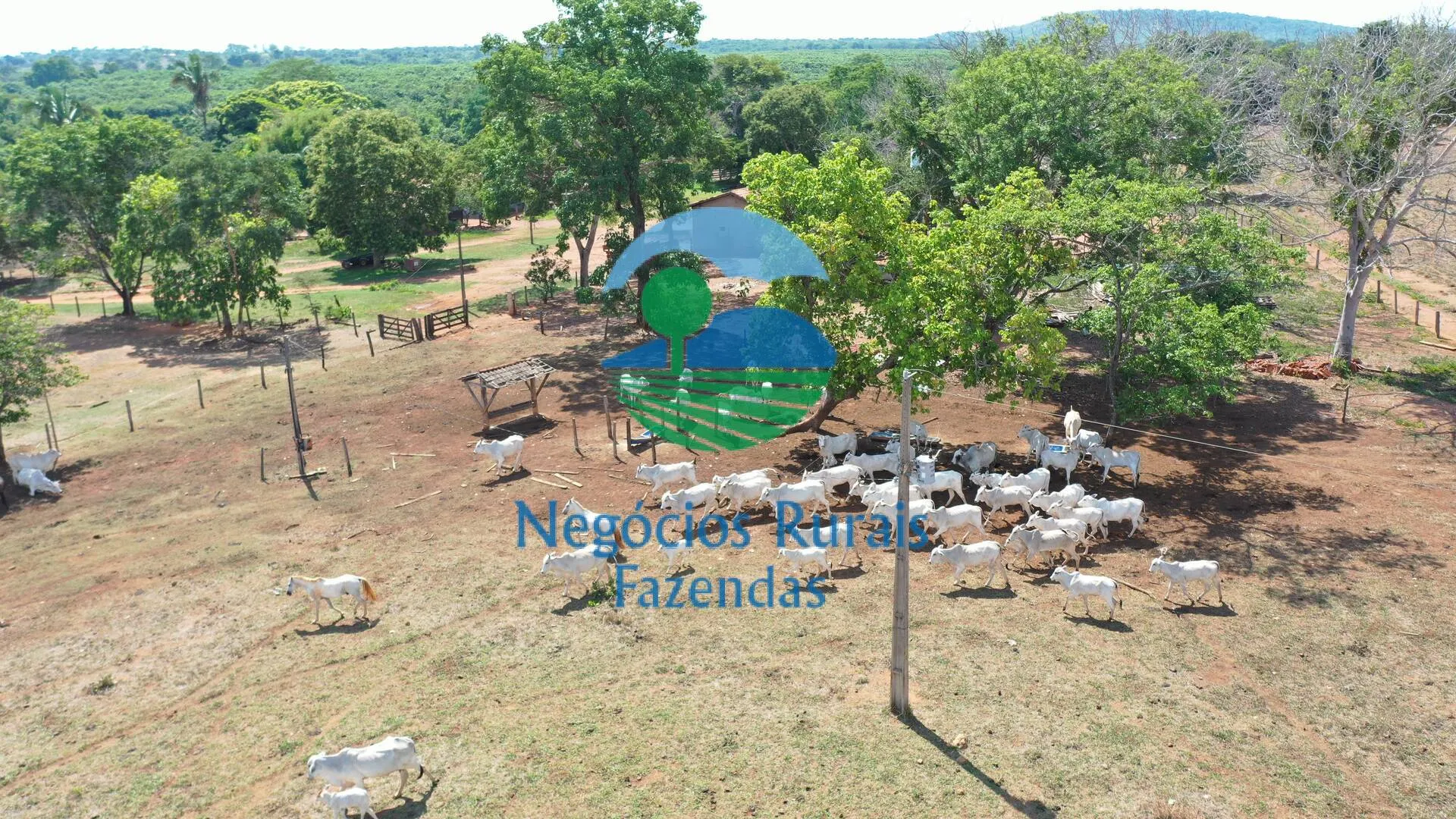 Fazenda à venda e para Arrendar de 1.258 ha em Palmeirópolis, TO, Brasil