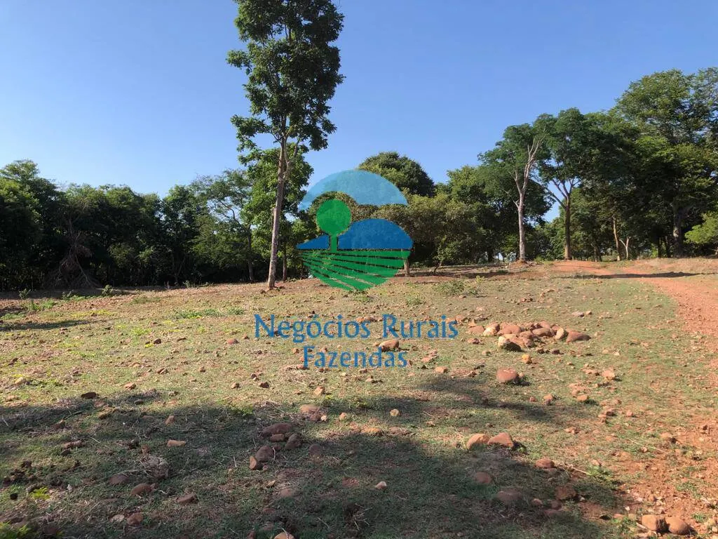 Fazenda à venda e para Arrendar de 1.258 ha em Palmeirópolis, TO, Brasil