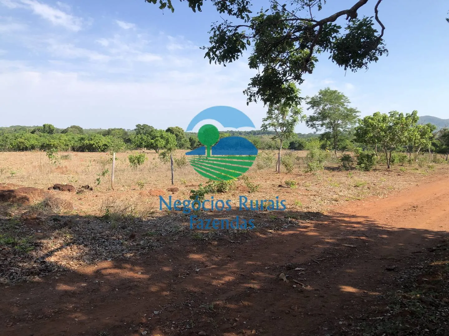 Fazenda à venda e para Arrendar de 1.258 ha em Palmeirópolis, TO, Brasil