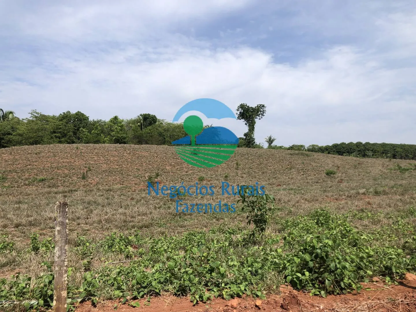 Fazenda à venda e para Arrendar de 1.258 ha em Palmeirópolis, TO, Brasil