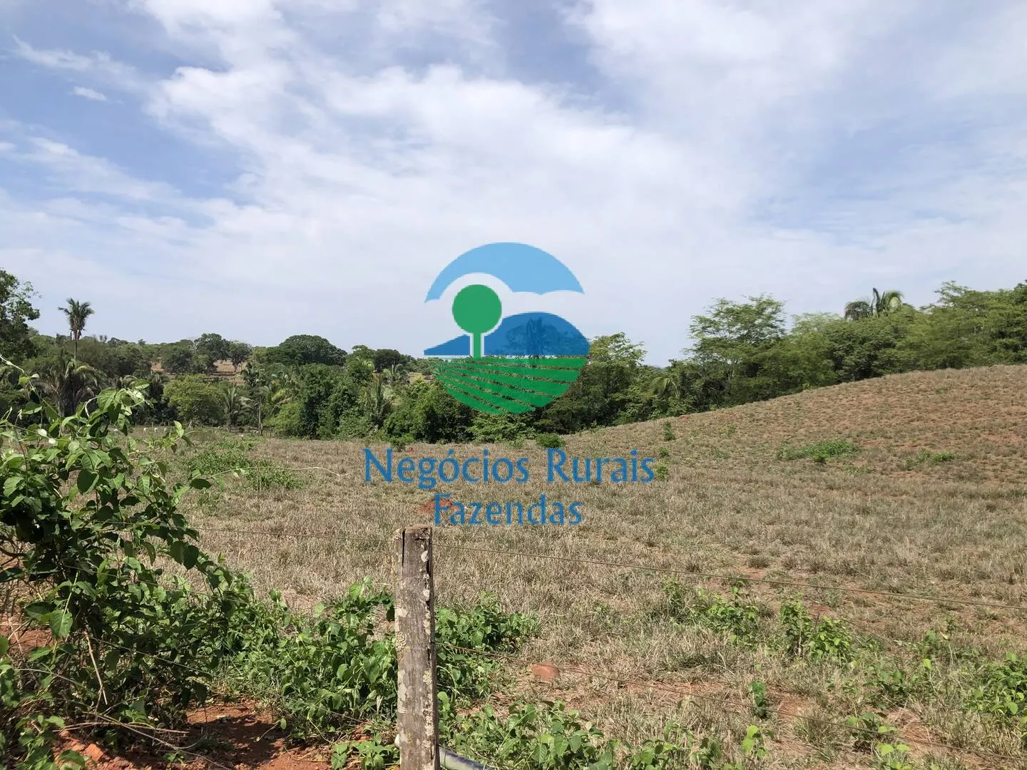 Fazenda à venda e para Arrendar de 1.258 ha em Palmeirópolis, TO, Brasil