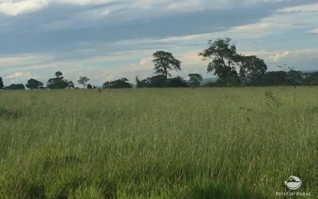 Fazenda à venda de 2.129 ha em Itarumã, GO, Brasil