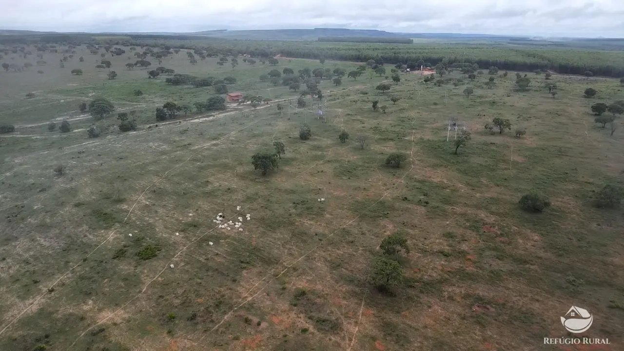 Farm for sale of 1,710 acres in Buritizeiro, MG, Brazil