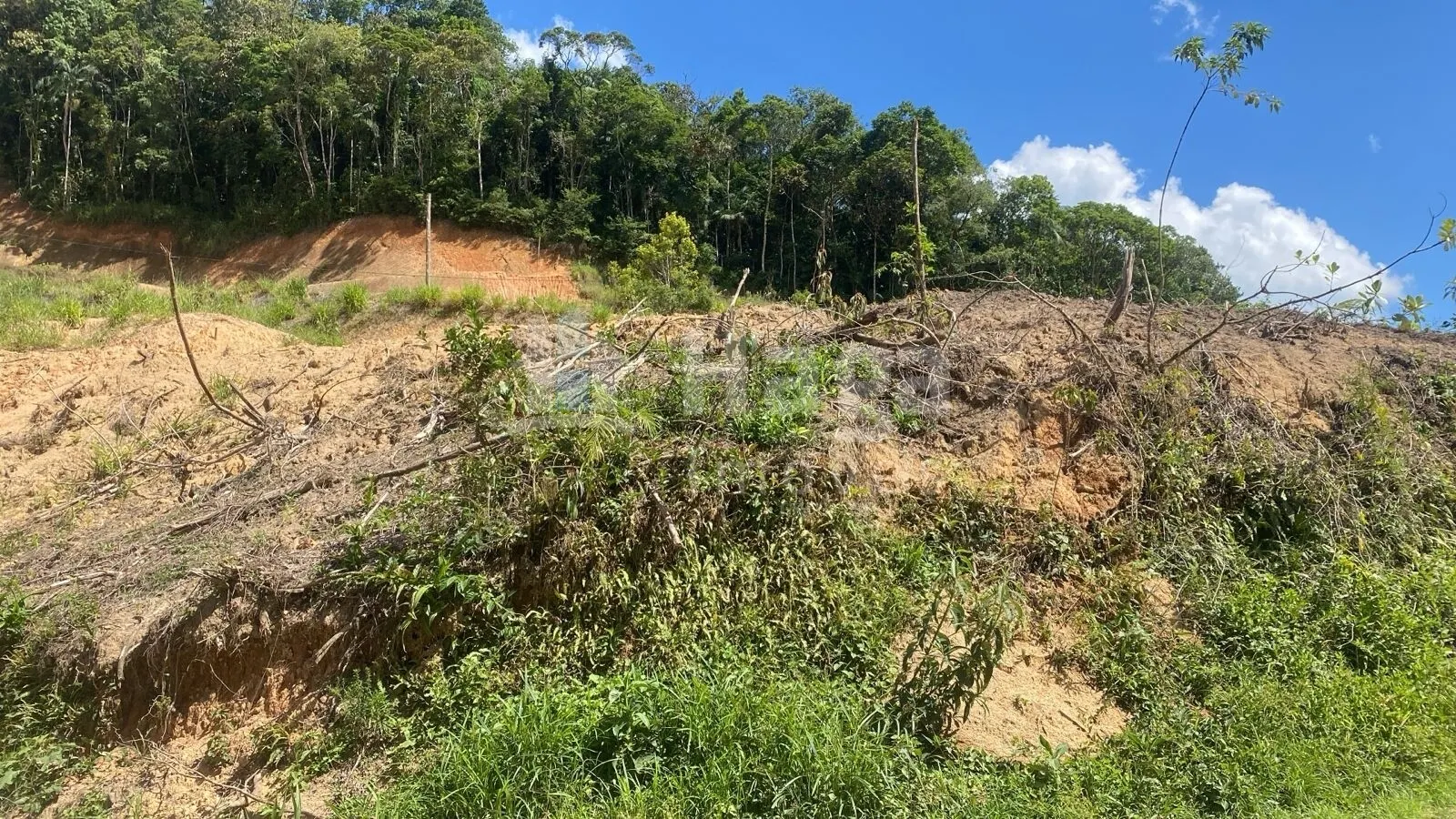 Terreno à venda de 726 m² em Guabiruba, SC, Brasil