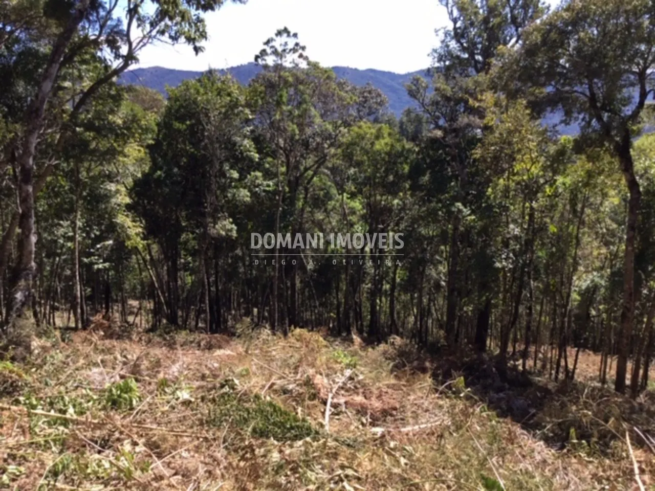 Terreno à venda de 2.690 m² em Campos do Jordão, SP, Brasil