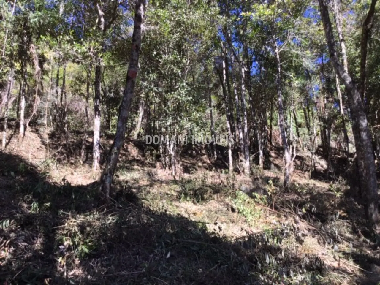 Terreno à venda de 2.690 m² em Campos do Jordão, SP, Brasil
