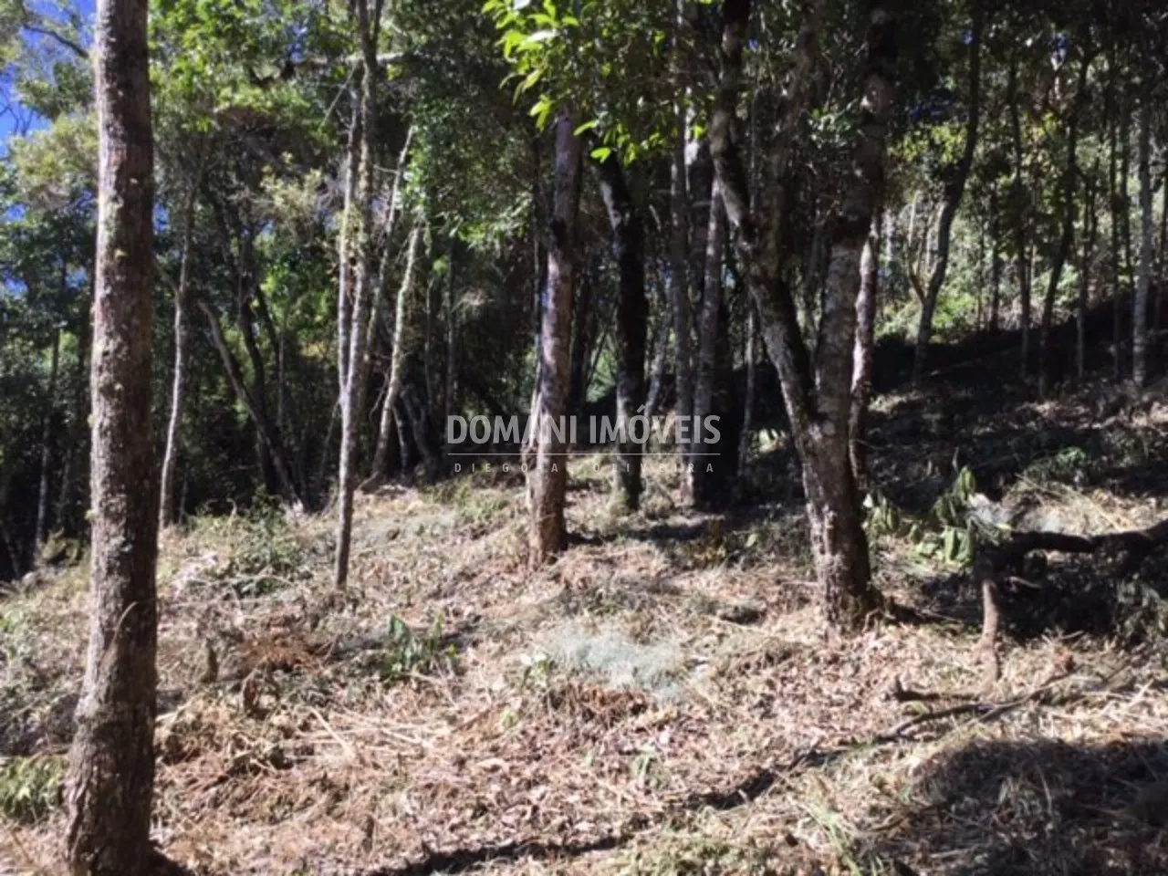 Terreno à venda de 2.690 m² em Campos do Jordão, SP, Brasil