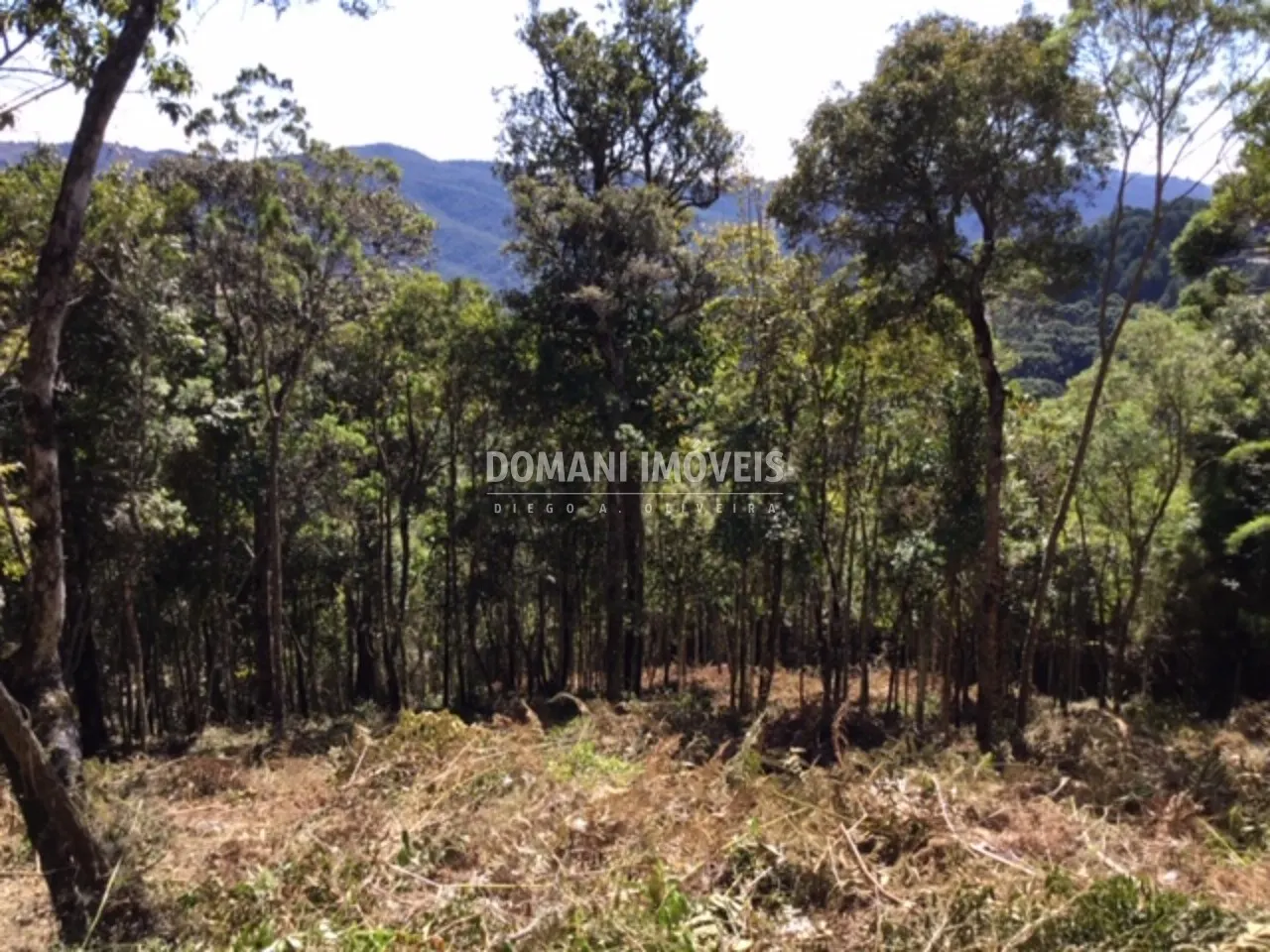 Terreno à venda de 2.690 m² em Campos do Jordão, SP, Brasil