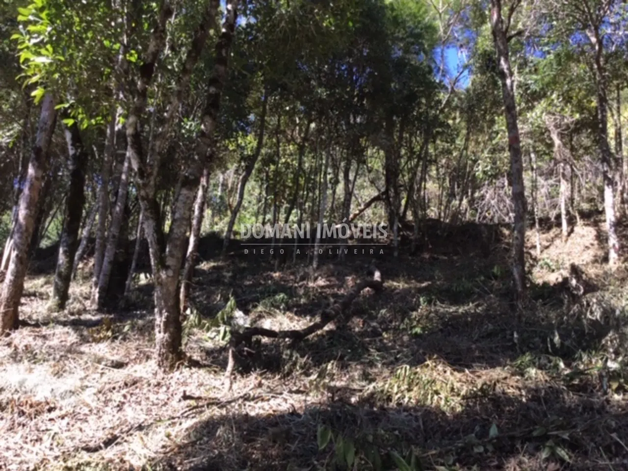 Terreno à venda de 2.690 m² em Campos do Jordão, SP, Brasil