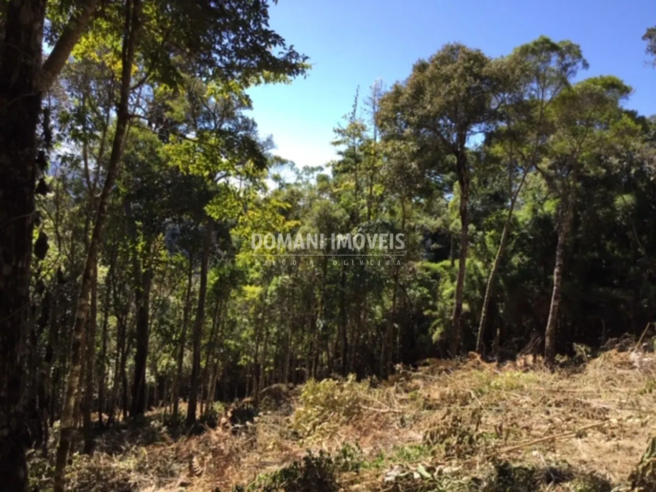 Terreno à venda de 2.690 m² em Campos do Jordão, SP, Brasil